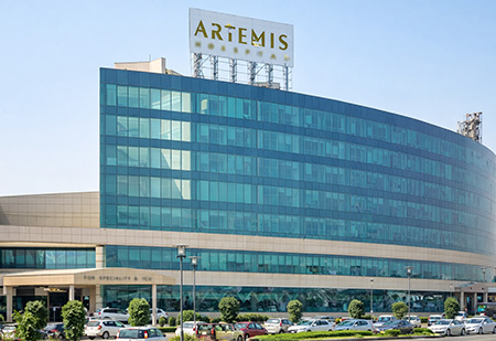 Artemis Hospital