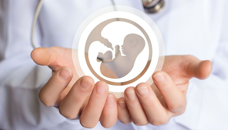 IVF consultation cost