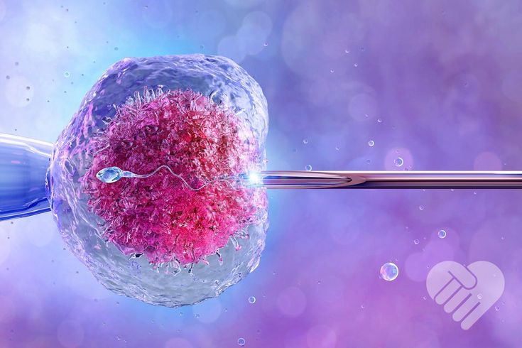 IVF with ICSI treatment India