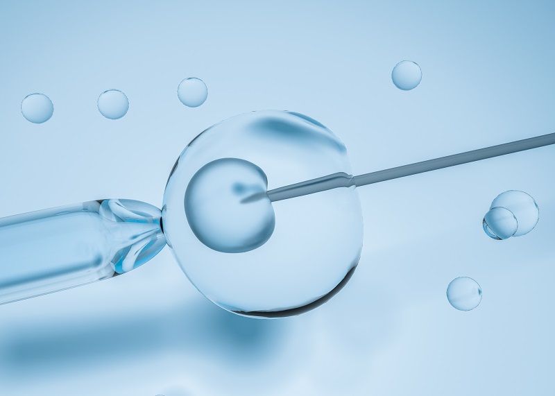 IVF with IMSI treatment India