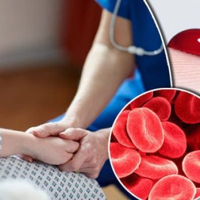 Hemophilia Treatment in India Cost Therapy Surgery and International Patient Care