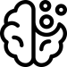 brain (6)