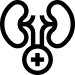 kidney (4)