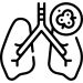 lung (1)